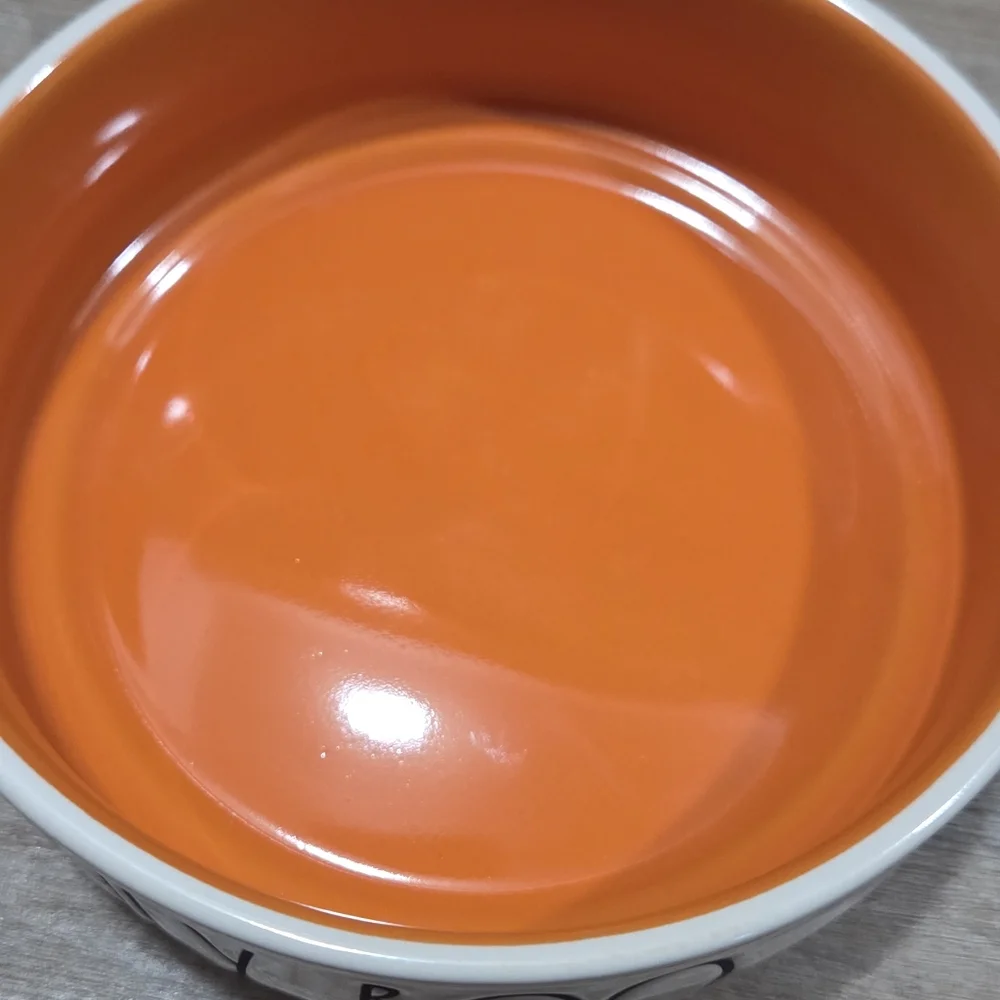 Rae Dunn Artisan Collection White Dish